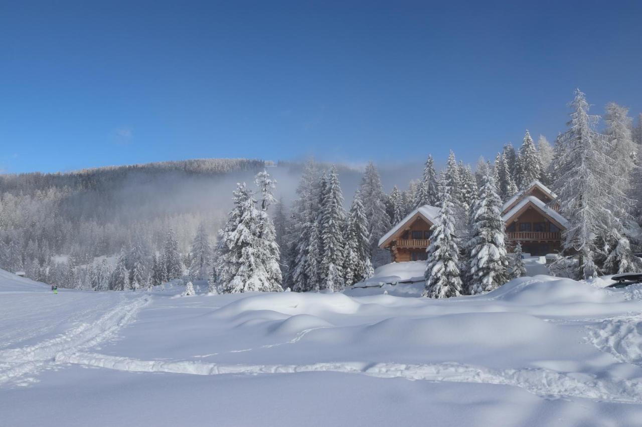 Almzauber Chalets - Haus Enzian Inkl Infrarotliegen Hochrindl Exteriör bild