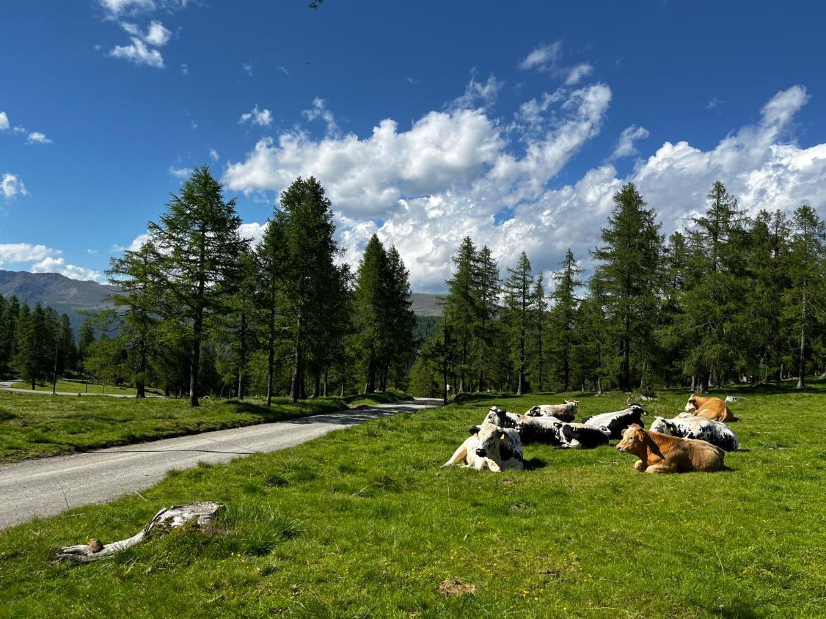 Almzauber Chalets - Haus Enzian Inkl Infrarotliegen Hochrindl Exteriör bild